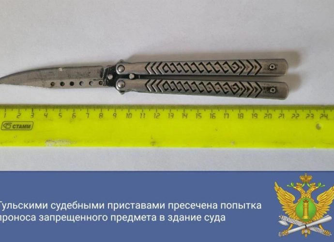 Туляк пытался пронести нож-бабочку в Арбитражный суд