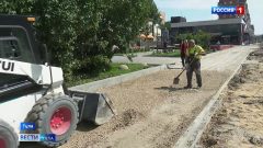 Ремонт Красноармейского проспекта: что будет с молодыми клёнами? Ремонт Красноармейского проспекта: что будет с молодыми клёнами?