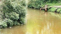 В реке Чернь утонул пенсионер В реке Чернь утонул пенсионер
