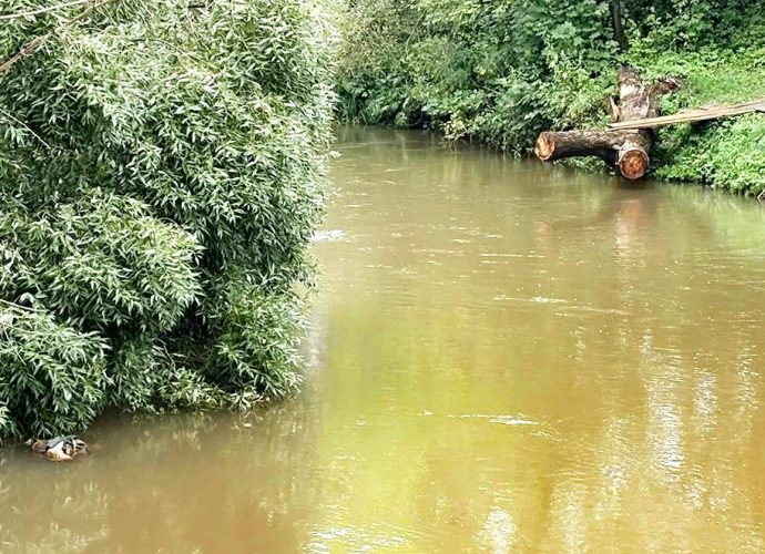 В реке Чернь утонул пенсионер