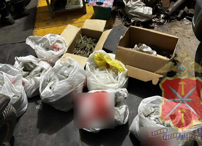 В Донском фермера задержали за изготовление 6,5 килограмма марихуаны