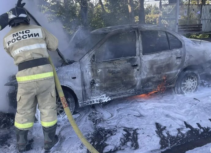 В Тульской области горел автомобиль