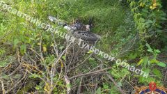 В Арсеньевском районе водитель питбайка столкнулся с иномаркой В Арсеньевском районе водитель питбайка столкнулся с иномаркой