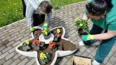 В тульских больницах обновляют зоны отдыха и детские площадки