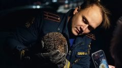 Тульские пожарные спасли ежа из заброшенного дома Тульские пожарные спасли ежа из заброшенного дома