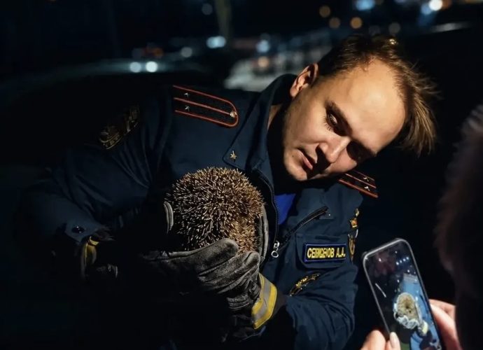 Тульские пожарные спасли ежа из заброшенного дома
