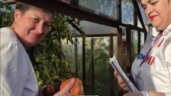 «ИнформУИК»: В Тульской области избирательные комиссии уже обошли более 21 тыс домовладений