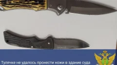 Приставы не позволили тулячке пронести два складных ножа в суд Приставы не позволили тулячке пронести два складных ножа в суд