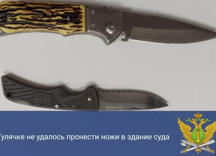 Приставы не позволили тулячке пронести два складных ножа в суд