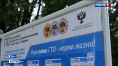 Тропические бабочки и гигантские кузнечики живут в обычной тульской многоэтажке