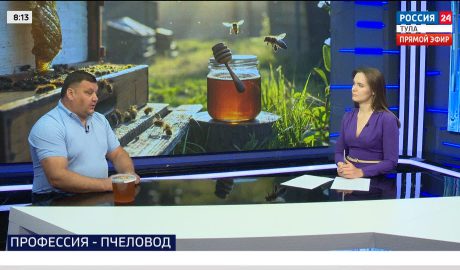 На старт полумарафона выйдут тысячи туляков На старт полумарафона выйдут тысячи туляков
