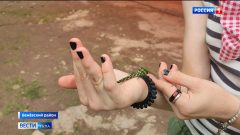Медицинский психолог Светлана Белоусова: Лучше маминого молока ничего нет Медицинский психолог Светлана Белоусова: Лучше маминого молока ничего нет
