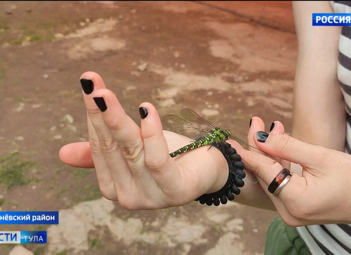 Медицинский психолог Светлана Белоусова: Лучше маминого молока ничего нет