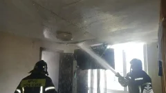 В Тульской области за сутки потушили 5 пожаров