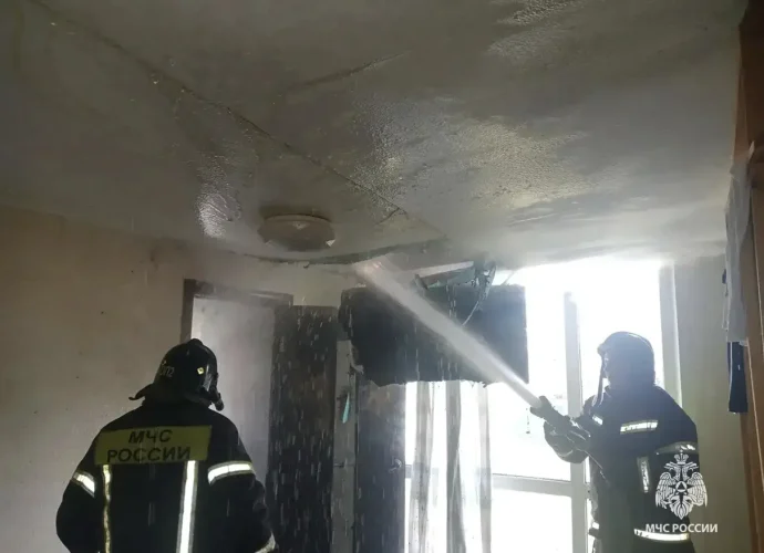 В Тульской области за сутки потушили 5 пожаров