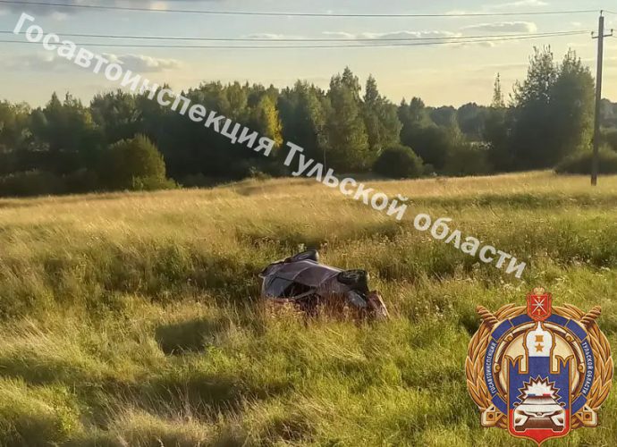 В Тульской области легковушка сбила велосипедиста-пенсионера