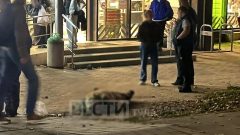 На ул. Октябрьской мужчина до смерти избил знакомого