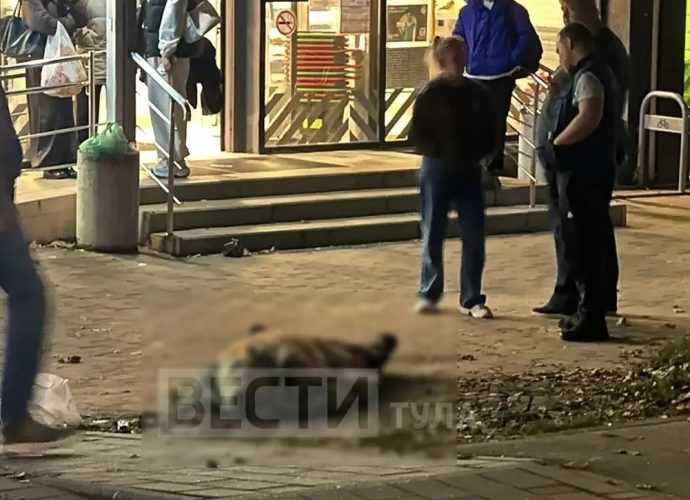 На ул. Октябрьской мужчина до смерти избил знакомого