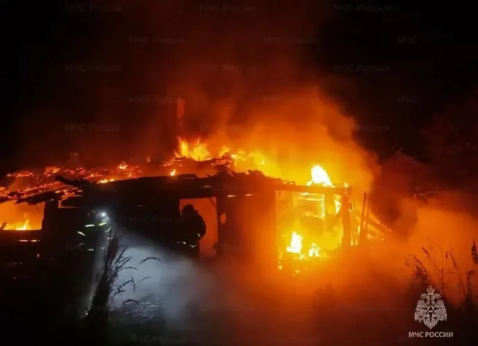 В Тульской области за сутки потушили 6 пожаров