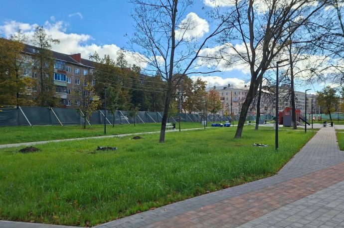 В сквере «Встреча» в Туле начали высаживать деревья и кустарники