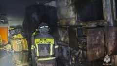 В Тульской области за сутки потушили четыре пожара