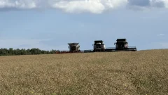 В Тульской области собрали 11,3 тыс. тонн картофеля В Тульской области собрали 11,3 тыс. тонн картофеля