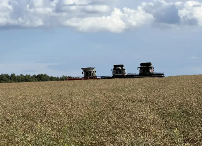 В Тульской области собрали 11,3 тыс. тонн картофеля