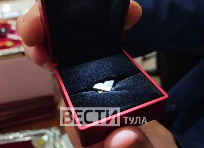 Тульские «Вести» одними из первых увидели новую награду губернатора региона – «Тульская область – территория семейного счастья».