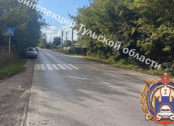 В Донском водитель сбил девочку на пешеходном переходе