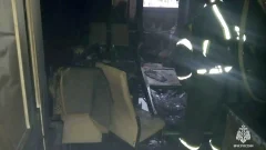 В Тульской области за сутки потушили два пожара В Тульской области за сутки потушили два пожара