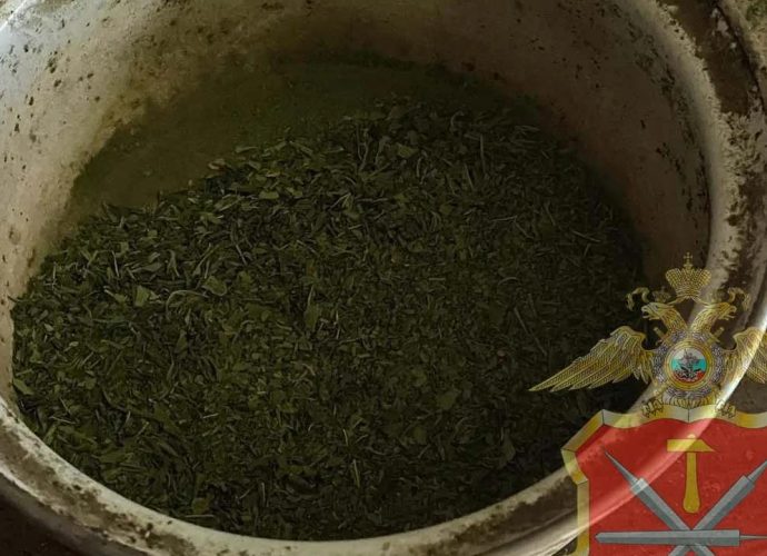 В СНТ «Солнышко» у женщины нашли марихуану