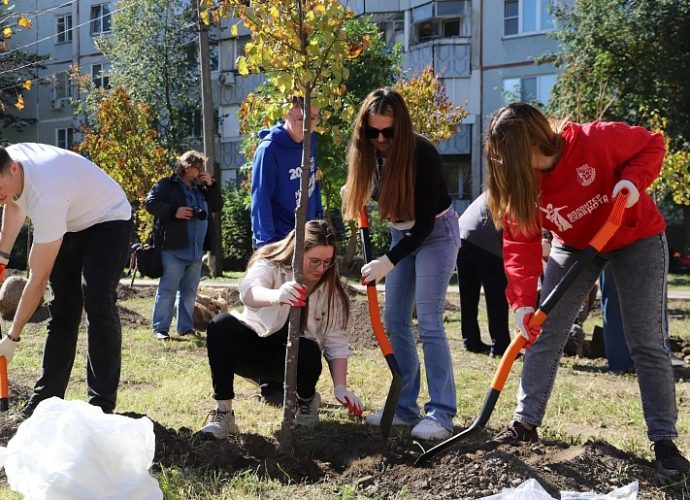 В Туле высадили липовую аллею к 880-летию города