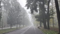 Как безопасно управлять автомобилем в тумане: 5 главных правил