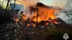 В Тульской области за сутки потушили восемь пожаров