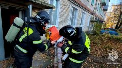 В Ефремове пожарные спасли из огня двоих детей