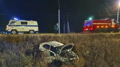 В Тульской области за сутки потушили два пожара В Тульской области за сутки потушили два пожара