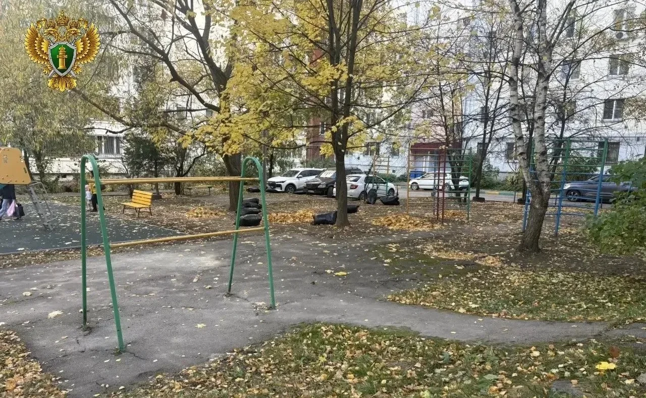 В Туле прокуратура нашла нарушения на детской площадке на улице Степанова В Туле прокуратура нашла нарушения на детской площадке на улице Степанова