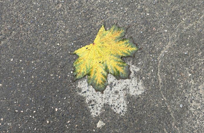 Метеоролог Александр Шувалов: Тульская область вступает в период волнообразных изменений погоды Метеоролог Александр Шувалов: Тульская область вступает в период волнообразных изменений погоды