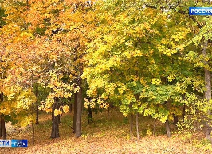 Как реагируют на октябрьское тепло флора и фауна Тульской области